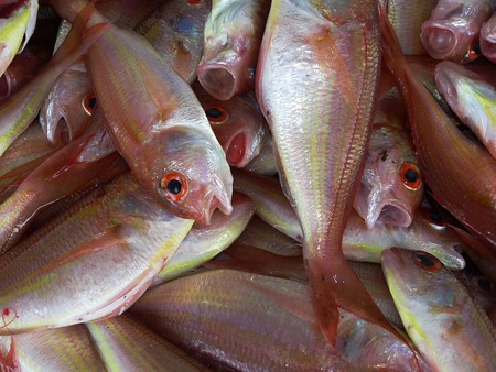 Hasta un 36% de los pescados consumidos en España poseen anisakis: cómo combatir este parásito y prevenir riesgos para la salud