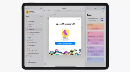 スウィフトの遊び場