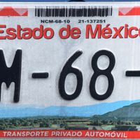 Muchos creen que no es posible, pero en México sí puedes tener placas personalizadas: requisitos y costos