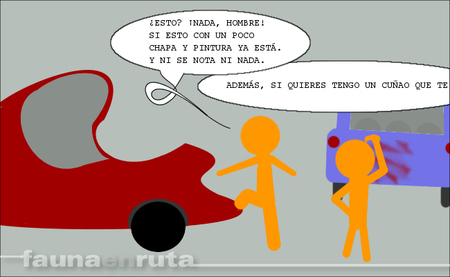 fauna en ruta: simple roce de chapa