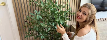 Rocío Butrón, experta en limpieza: "Uso papel de higiénico empapado en vinagre para limpiar los rieles de las ventanas así"
