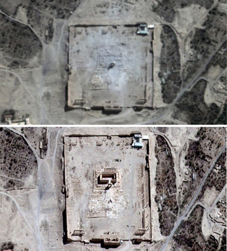 Palmyra 1 3428895b