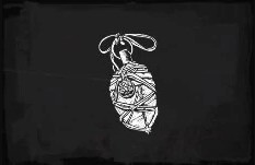 Abalorio De Corazon De Lobo