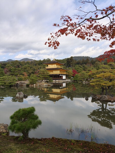 Oppo Find X9 Pro Analisis Review Experiencia Uso Mexico Pruebas Camara Fotos Principal