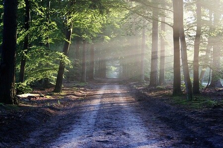 Compañeros de Ruta: seguimos viajando pero sin cruzar husos horarios