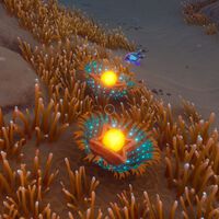 Cómo conseguir Putresacos Lucifer en Subnautica 2 