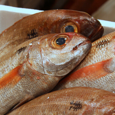 Cómo se trata el pescado para que llegue a casa en perfecto estado sin necesidad de congelarlo: los secretos de los grandes pescaderos