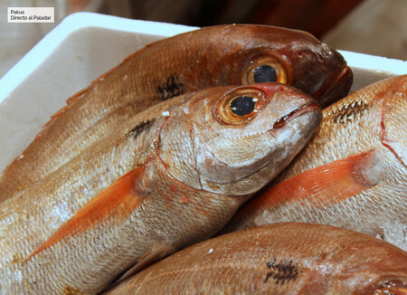 Cómo se trata el pescado para que llegue a casa en perfecto estado sin necesidad de congelarlo: los secretos de los grandes pescaderos