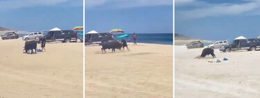 "Te puto avisamos". Una turista se empeña en forcejear con un toro y acaba recibiendo un brutal ataque 