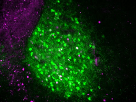 Why We Sleep Poorly In