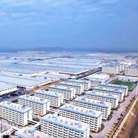 China va camino de tener la madre de todas las fábricas: BYD sacará un millón de coches al año en una factoría más grande que Barcelona