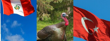 O grande paradoxo dos mapas: a confusão que fez o mundo inteiro dar o nome de uma única ave a dois países diferentes 