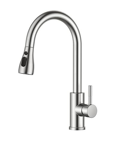 FORIOUS - Grifo Cocina Extraible