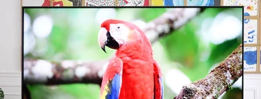 Philips OLED+ 903, análisis: este televisor está aquí para convencernos de que la mejor versión de Philips no se ha desvanecido