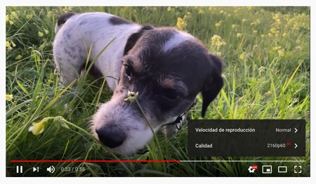 Youtube 4k