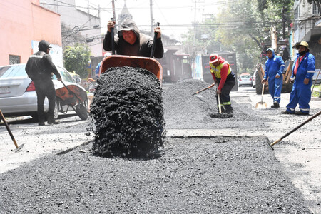 Baches 6