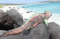 Islas Galápagos: primer aeropuerto ecológico del mundo