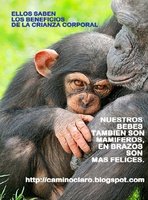 Semana de la Crianza en Brazos 2011