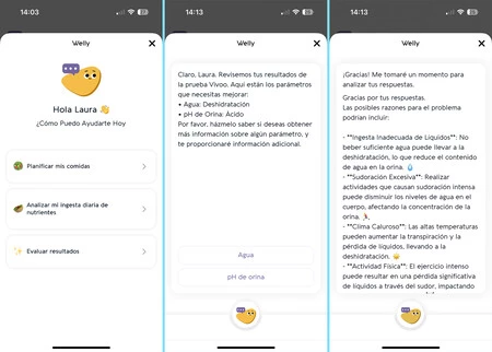 Vivoo Analisis Orina 09
