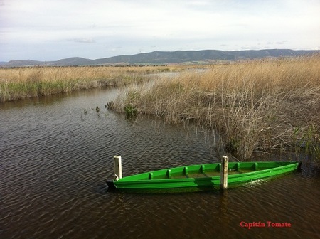 La vuelta del Guadiana a las Tablas de Daimiel
