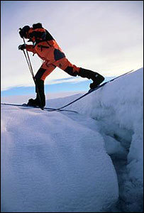 La "locura polar"