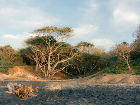 Dunas