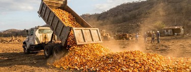 En 1997, cubrieron un páramo de Costa Rica con 12.000 toneladas de cáscaras de naranja. 16 años después nadie reconocía el paisaje