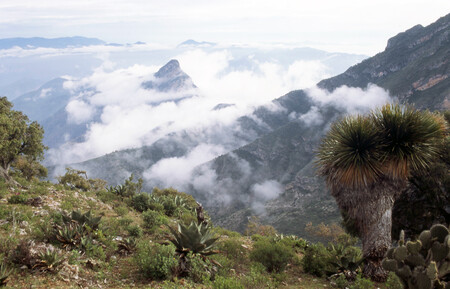 No es Morelos ni Hidalgo, este destino rodeado de montañas tiene todo para hacer senderismo, acampar y disfrutar una vista impresionante  