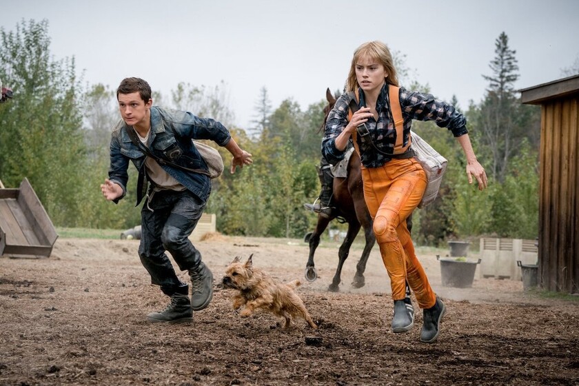 Trailer de 'Chaos Walking': acción en otro planeta de la mano del director de 'Al filo del mañana' con Tom Holland y...