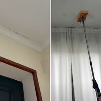 Como limpar manchas de mofo e condensação das paredes: você só precisa de um pano para combater a umidade da chuva 