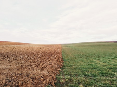La nueva sindemia global: obesidad, desnutrición y cambio climático. Diferentes problemas con una misma causa.