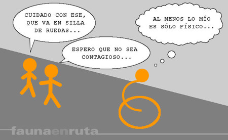 fauna en ruta: discapacidades