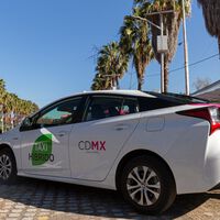 Muchos en CDMX creen que tener esta licencia alcanza hasta para manejar taxi, pero la multa puede ser enorme 