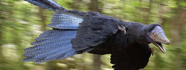 Pássaros são dinossauros (literalmente): novas descobertas mostram que a evolução das aves foi muito mais estranha do que você imagina