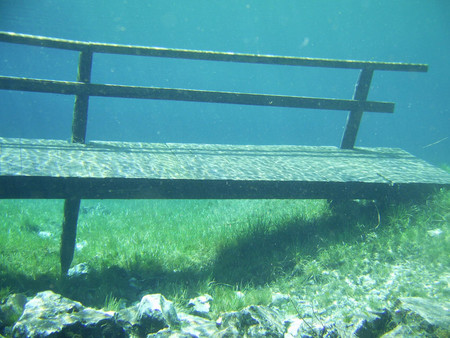 Gruner See 3