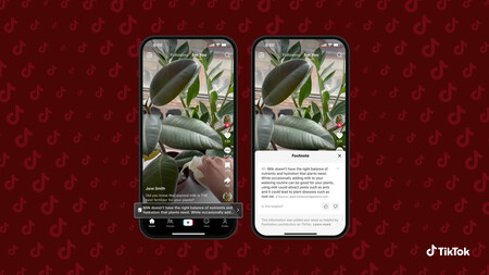 This will see the notes at the foot of Tiktok | Image: Tiktok