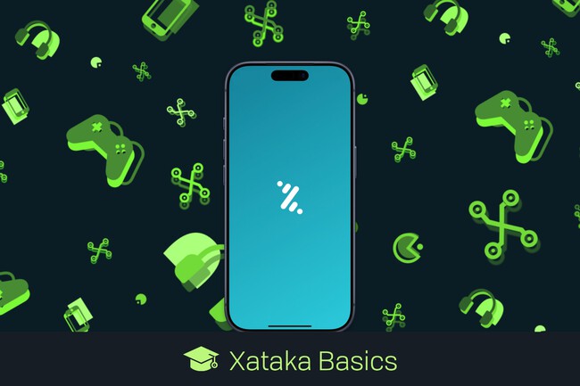 Bizum Pay