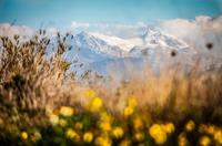 Diez razones para viajar a Mallorca en invierno