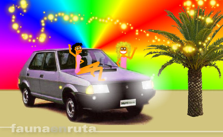 fauna en ruta: luces y conducción