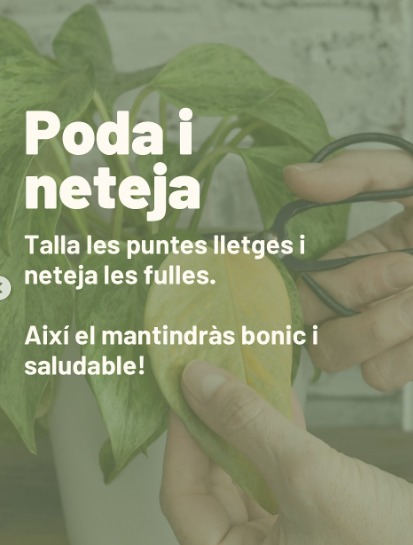 Captura De Pantalla 2025 10 29 A Las 13 17 15