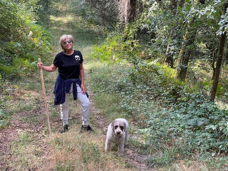 Paseos Julia Otero
