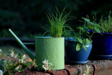 Recicladecoración: una vieja regadera convertida en maceta