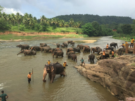 Pannawela