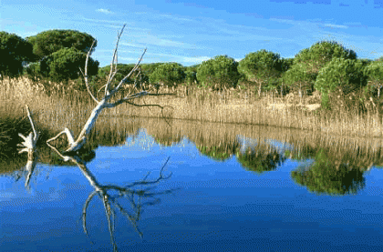 4 parques naturales europeos que merece la pena visitar