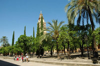 El Patio de la Mezquita de Córdoba