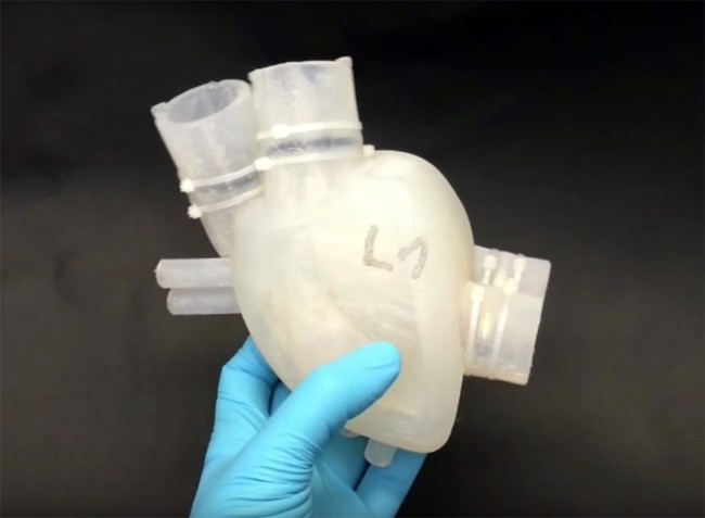 3d-printed-heart