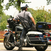 A todo cerdo le llega su san Martín