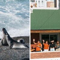 Hostel na Patagônia busca voluntários para morar de graça em troca de fotos e vídeos para redes sociais: oferta inclui hospedagem e passeios 