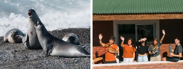Hostel na Patagônia busca voluntários para morar de graça em troca de fotos e vídeos para redes sociais: oferta inclui hospedagem e passeios 