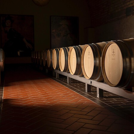 Sala De Barricas De Vega Sicilia